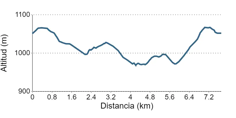 camino de las raíces perfil