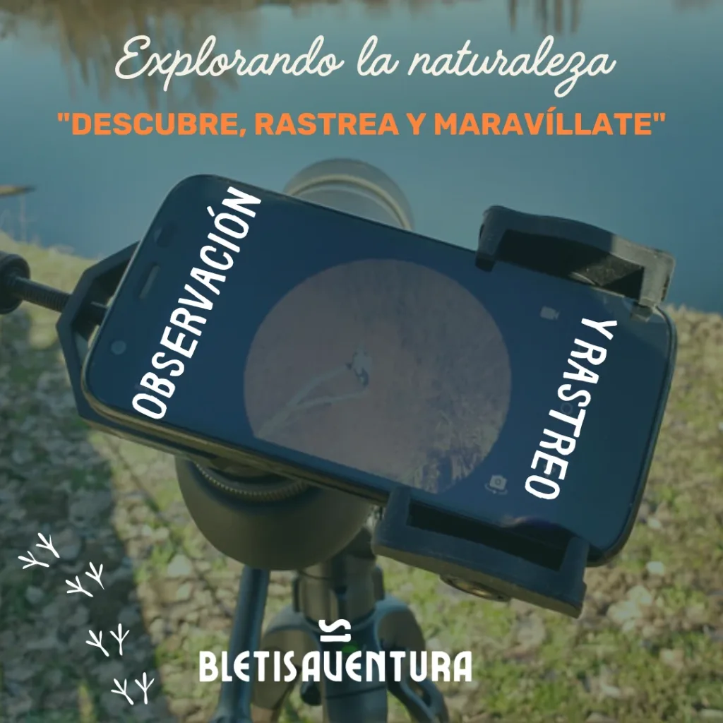 tarjeta regalo observación fauna