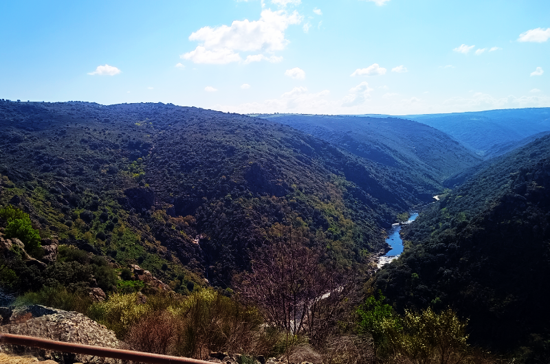 Sobradillo Mirador Molinillo Torno portada